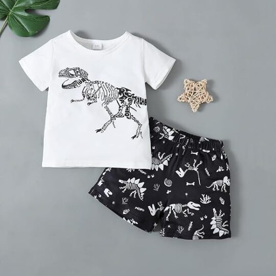 2 Piece Short Sleeved Dinosaur Print Top Shorts Set