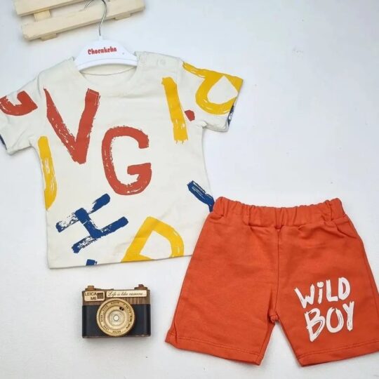 2-Piece Boys Graphic Shirt and Shorts Set