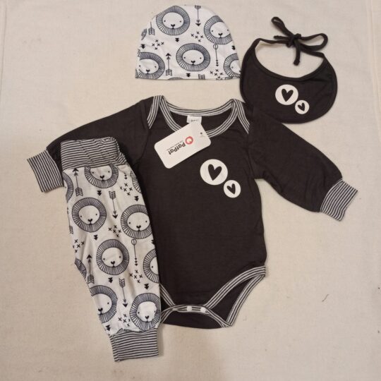4-Piece Lion Baby Dress